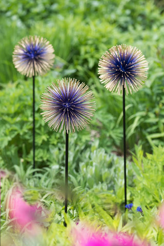  || https://assets.gardeners.com/transform/d78b034d-9001-4bbc-ad23-88ed7f80cd7f/8598981_13717-tif
