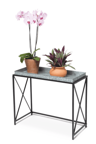 Plant Stand with Galvanized Tray