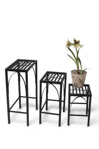  || https://assets.gardeners.com/transform/4a6a44a0-6a13-4c40-938d-86bd2c02d229/8599023_12137-tif