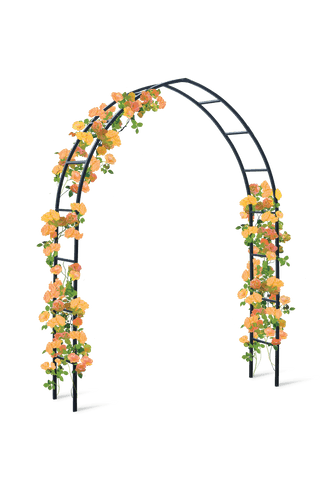  || https://assets.gardeners.com/transform/834dd7e5-6dc2-4480-82e5-a879de76e28d/8599042_0001_art-tif