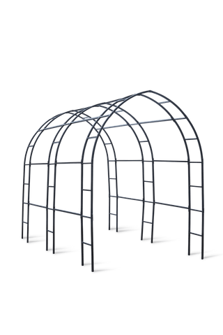  || https://assets.gardeners.com/transform/013ed667-5cc0-4840-a01e-45c978a4c674/8599042_0046-tif