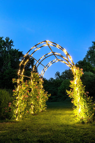  || https://assets.gardeners.com/transform/fbfcfd88-3466-4333-b051-e38088181a99/8599042_0325-tif