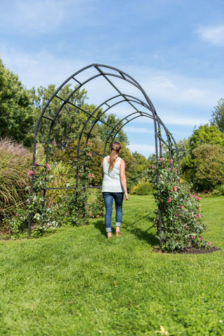  || https://assets.gardeners.com/transform/9eae8d4b-071d-4b1f-bd1a-cded242fc4bf/8599042_5005-tif