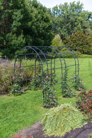  || https://assets.gardeners.com/transform/bd16295c-4186-497f-9f5f-4e41f1e54776/8599042_5022-tif