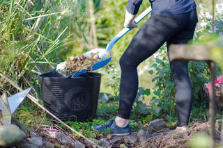  || https://assets.gardeners.com/transform/74b1c152-6f98-478c-a8db-26eb6b9d0434/8599081_06V-tif