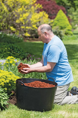  || https://assets.gardeners.com/transform/023fbdb5-546b-4285-9c74-6c50b8e07856/8599085_13765-tif