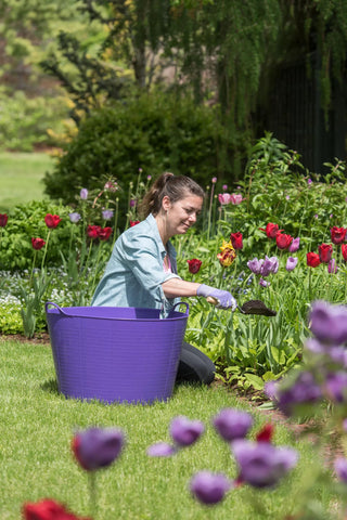  || https://assets.gardeners.com/transform/58c7e6de-ddad-4b9b-bb3b-1bafc23cfb31/8599088_13830-tif
