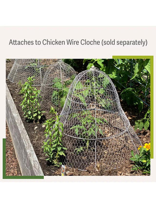  || https://assets.gardeners.com/transform/a58f9f3a-c6c2-42d1-a487-2c8d5f85355e/8599107_2