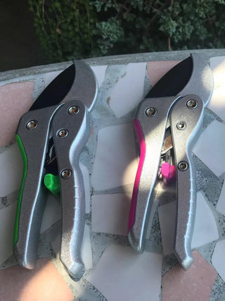  || https://assets.gardeners.com/transform/483dee12-4c5c-48af-8eb4-7a0520510eae/8599161_03V-tif