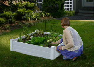  || https://assets.gardeners.com/transform/3037f98d-0727-41c0-97e6-37aeacf8e1ae/8599293_01V-tif