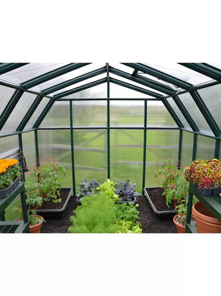  || https://assets.gardeners.com/transform/7fe8e57d-c6dc-4bb2-8279-e1147239ebc1/8599331_05V