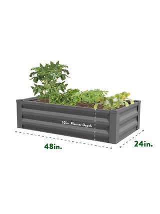 || https://assets.gardeners.com/transform/653fa510-a406-4d61-a191-4418b519dfe7/8599393_04V_3-4