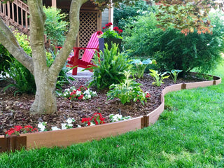  || https://assets.gardeners.com/transform/b5c70ecb-e2f8-4b2b-9ac1-de015bbb97ff/8599404_01V-tif