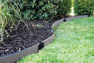  || https://assets.gardeners.com/transform/e941e31c-d080-4ae6-bbef-bdb0a3dd0abd/8599404_11V-tif