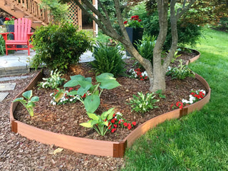  || https://assets.gardeners.com/transform/5e0883ab-caec-4e11-a479-e0d34af8f864/8599407_01V-tif