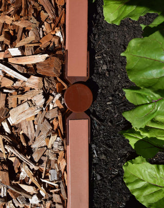  || https://assets.gardeners.com/transform/07889817-f707-4429-9fd6-412c063fb268/8599408_03V-tif