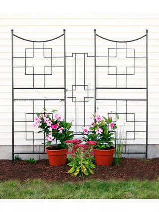  || https://assets.gardeners.com/transform/5b6e6415-8bdd-46bf-89ac-41f38766b655/8599486_01V_3-4