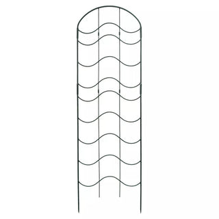  || https://assets.gardeners.com/transform/e7f736ce-17f1-4aac-9af3-2f0e0a863d48/8599491_02V-tif