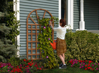  || https://assets.gardeners.com/transform/a466a6fb-f880-44fe-8438-b4d1952122fa/8599769_01V-tif