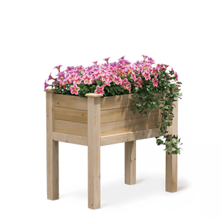  || https://assets.gardeners.com/transform/8faa34fe-dd97-4512-abbb-e1041fd6dcbd/8599805_03V-tif