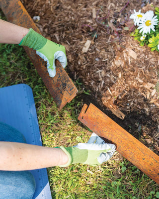  || https://assets.gardeners.com/transform/b0bd395b-269a-49d5-b047-d24c28dbaf91/8599845_0253-tif