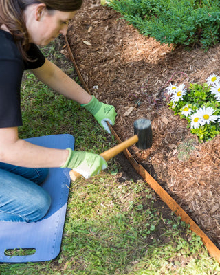  || https://assets.gardeners.com/transform/9c69e632-f2d4-4161-ad7d-748e4433c399/8599845_0259-tif