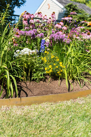  || https://assets.gardeners.com/transform/adc3b450-1f26-43e6-8785-ba6cdd3360d8/8599845_0875-tif