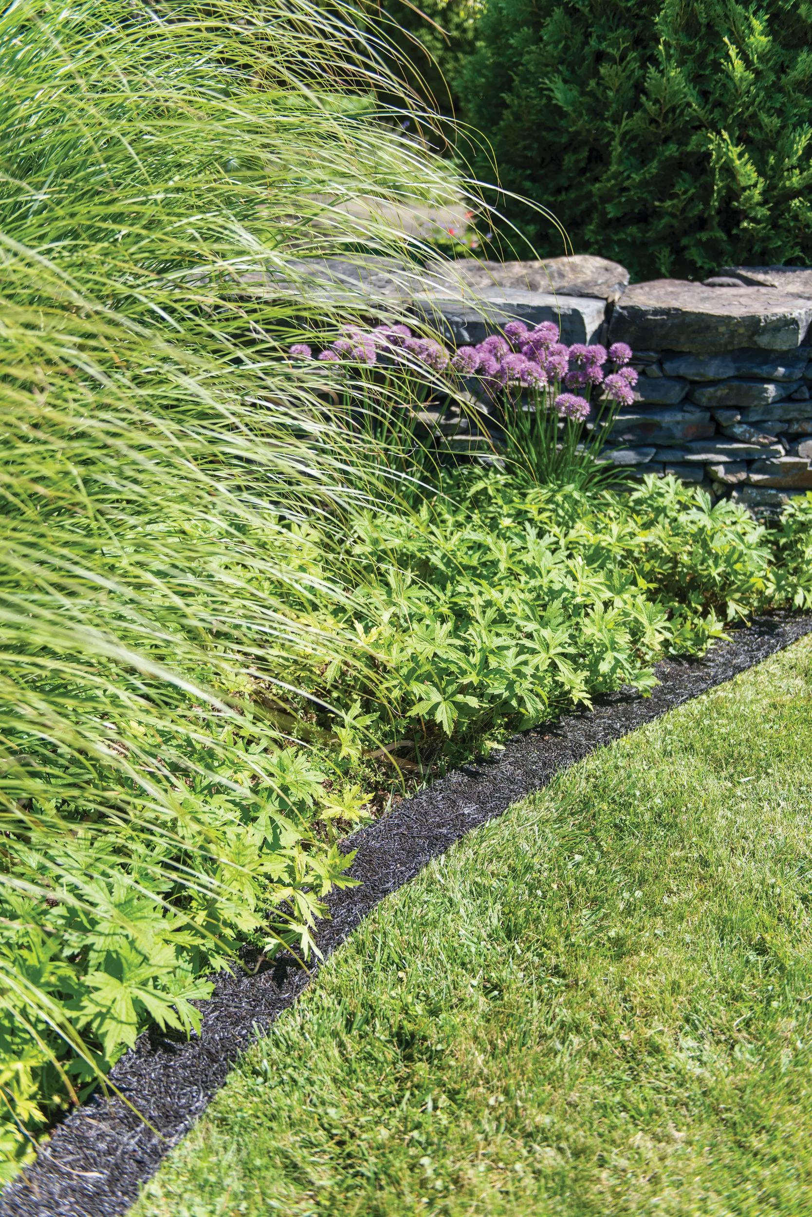 rubber tree edging Recycled Rubber Mulch Edging 12' x 6"