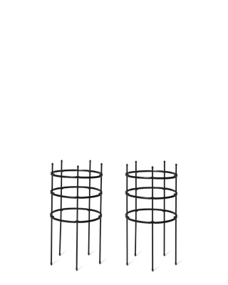  || https://assets.gardeners.com/transform/e635b438-1eba-47ca-9514-5099877bb0b7/8599857_18700-tif