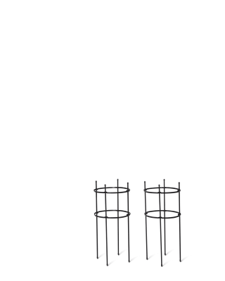 Titan Peony Supports, Medium, Set of 2