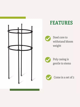 Titan Peony Supports, Medium, Set of 2