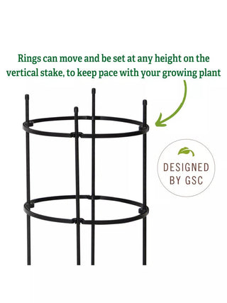 Titan Peony Supports, Medium, Set of 2