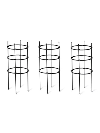  || https://assets.gardeners.com/transform/b2ba5e11-1676-43b7-b763-cf016762ea09/8599859_18705_3-4