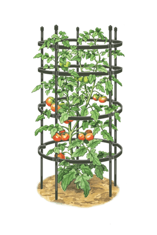  || https://assets.gardeners.com/transform/1444e0fa-bd79-4a49-b88b-6c2e3434de42/8599861_0001_art-tif