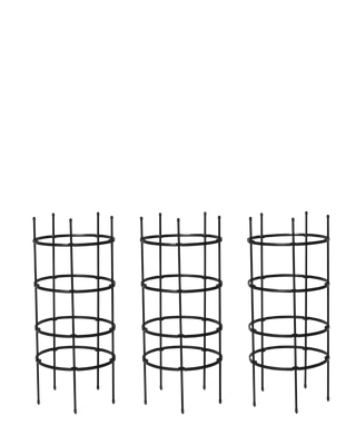  || https://assets.gardeners.com/transform/d2989df9-d394-4438-88de-fd505f1050cf/8599861_18713-tif
