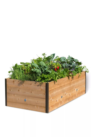  || https://assets.gardeners.com/transform/f588bec1-e51c-4138-8155-4df412f1bbb1/8599866_0098-tif