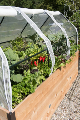  || https://assets.gardeners.com/transform/c5478258-86c6-46c9-84cb-34d24f11874c/8599866_0107-tif