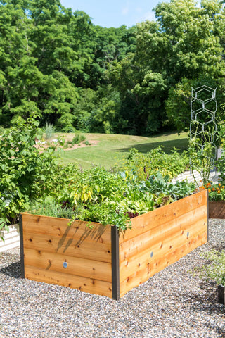  || https://assets.gardeners.com/transform/8b1c0a80-f4ed-466d-8a58-1dc7523db934/8599866_17266-tif
