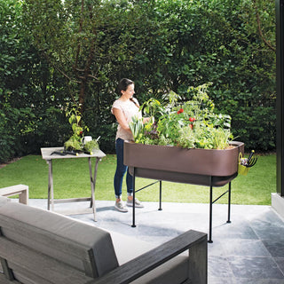  || https://assets.gardeners.com/transform/302cb979-3573-4c15-b545-6ef81c904bb9/8599885_05V-tif