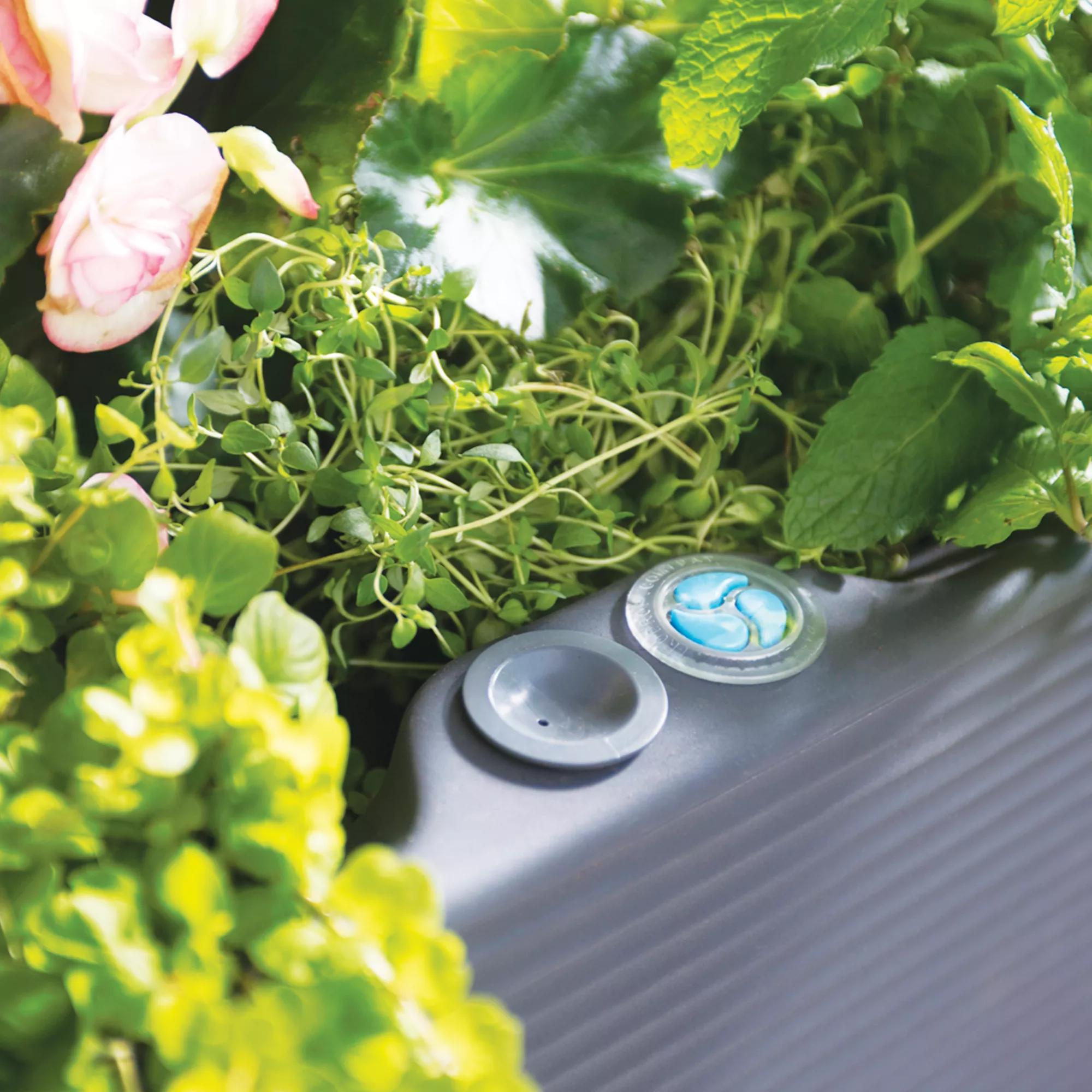 nest self watering planter Nest Elevated Planter 18 x 36 Self-Watering