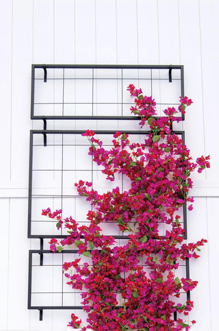  || https://assets.gardeners.com/transform/9c6b0751-da80-4137-82a8-bb57b7039fdd/8600049_9