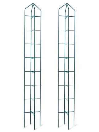  || https://assets.gardeners.com/transform/b54779e8-9478-48e2-961f-edd1a1840dd9/8600072_19235_2