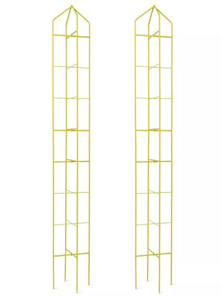  || https://assets.gardeners.com/transform/3d00840e-f72c-4e57-ab5e-762c058d6177/8600072_19236_2