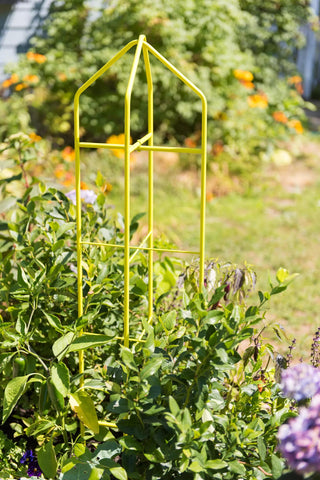  || https://assets.gardeners.com/transform/53d222e8-59c3-4c44-a1e2-2a076baa40db/8600073_1010