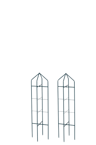  || https://assets.gardeners.com/transform/b649711b-a366-4304-bee9-0d7e03836eb0/8600073_17886-tif