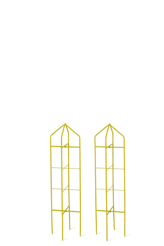  || https://assets.gardeners.com/transform/90c64e90-46b7-4194-80b2-c335737c5139/8600073_17887-tif