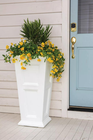  || https://assets.gardeners.com/transform/df6a7ca6-2937-4050-9a20-0b4bdb1cd588/8600109_016-tif