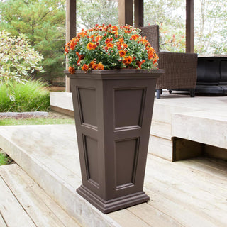  || https://assets.gardeners.com/transform/ce2f43d2-c207-4e8b-8d47-5b8968c3c9c5/8600109_03V-tif