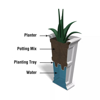  || https://assets.gardeners.com/transform/6fe66435-a90e-432c-ba4c-aee67ebe0cc4/8600109_10V-tif