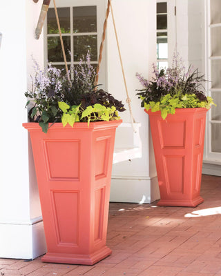  || https://assets.gardeners.com/transform/d78d3955-e236-48cc-bed4-bb33033b427e/8600109_19748-tif